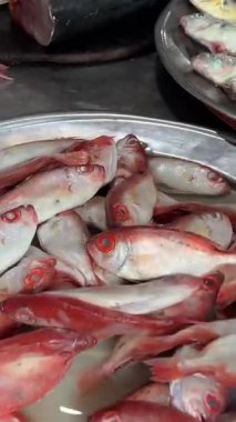 Pazarda taze balık tezgahları ve buzda çeşitli deniz ürünleri var. Tedarikçiler ve müşteriler hareketli bir pazar sahnesinde görülürler. Yüksek kalite 4k görüntü