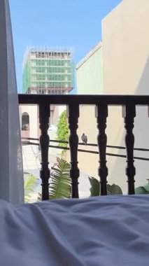 Yataktan balkona, modern tropikal yatak odası ahşap mobilyalar, kanepe ve tatil köyünün balkonundan havuz manzaralı. Yüksek kalite 4k görüntü