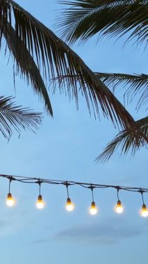 Palmiye ağaçlarındaki ışıklar inanılmaz günbatımı manzarası. Resimli yaz günbatımı. Renkli bir gökyüzünün altında denizin üzerinde lüks palmiyeler. Tropikal denizin üzerinde gün batımını hayal et, doğanın fantastik manzarası. 4k