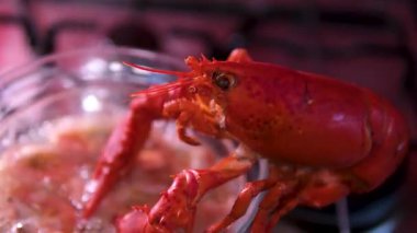 Buğulanmış karidesler Bangkok, Tayland 'daki sokak yemekleri pazarında Tom Yum Goong çorbası için hazırlandı. Yüksek kalite 4k görüntü