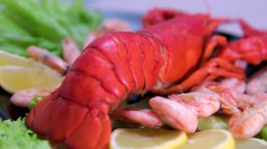 Perulu bir şef tarafından hazırlanmış farklı deniz ürünleri. Istakoz, karides, ceviche ve sebzeleri içeriyor. Yüksek kalite 4k görüntü