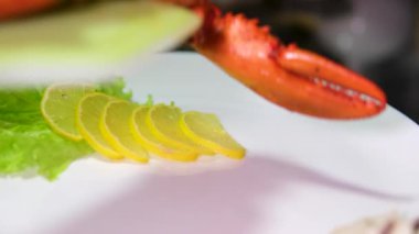 Limon dilimleri, domates dilimleri ve marullu bölünmüş ıstakoz. Yüksek kalite 4k görüntü