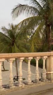 Şehirde motosikletli popüler bir köprüyü çekerken... trafikte palmiye ağaçlarında... sıradan bir hayat... taksi bisikleti Hoi An City Vietnam 05.02.2025...