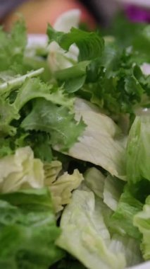 Taze organik yeşil yapraklı salata bitkisi hidroponik sebze çiftliği sisteminde. Yüksek kalite fotoğraf