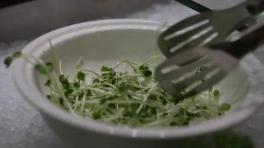 El değmemiş beyaz bir plaka, canlı yeşil mikro yeşilliklerden oluşan hassas bir düzenlemeye sahiptir. Bu yemek, çağdaş yemeklerde taze ve sağlıklı malzemelerin artan popülaritesini vurgular. Yüksek kalite 4k