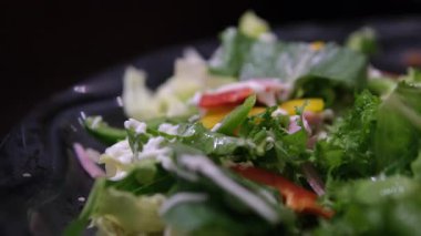 Taze salata, domates ve salatalık. Yeşil. Yüksek kalite fotoğraf