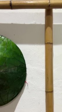 Duvarda Vietnamlı şapkaları, gelişiyor. Vietnamlı şapkalarıyla duvar dekorasyonunda birçok farklı küçük ve büyük başlık vardı. Yüksek kalite 4k görüntü