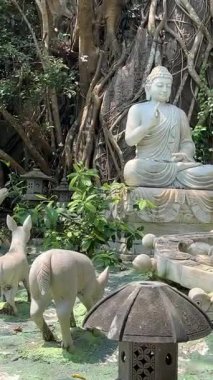 Da Nang, Vietnam, Asya Mermer Dağları 'nın Arkaplan' da gözler önüne serilen manzarası. Yüksek kalite 4k görüntü