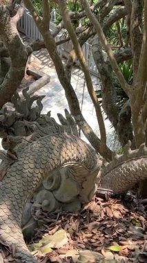Da Nang, Vietnam, Asya Mermer Dağları 'nın Arkaplan' da gözler önüne serilen manzarası. Yüksek kalite 4k görüntü
