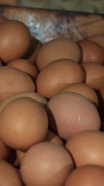 Bir sürü kahverengi yumurta kamera kaydırağı. Taze çiğ tavuk yumurtası. Yaklaş, sığ derinlik. Yumurta üretim konsepti. Yüksek kalite 4k görüntü