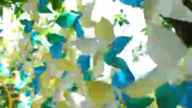 Çocuklar renkli yel değirmeni. Yeşil çimenli arka planda çocuklar yel değirmeni. Yüksek kalite 4k görüntü