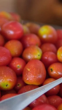 Renkli organik domatesler. Domateslerin arka planı, çeşitli domates çeşitleri üst görünüm. Farklı renkte domatesler, aile yadigarı, kiraz, gül, biftek, kokteyl, üzüm, mor. 