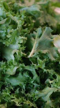 Sabah saatlerinde yerel bir markette taze yeşil marul. Tabak açık büfede.