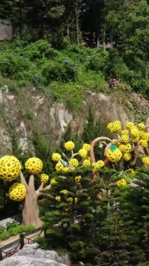 Teleferiği çekiyor. Füniküler çekimler mimari kaleler sanat sarayları sanat dağları yükseklik turizm mekanları güzel manzaralar harika ünlü yerler. Ba Na Hills Da Nang Vietnam 05.21.2025