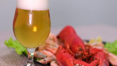 Istakoz birası tabakta ve masada bira. Kerevitten biraya. Kerevit birası abur cubur. Kaynamış kerevit, kırmızı kerevit yer. Taze pişmiş kerevit ve ıstakoz. - Evet. Yüksek kalite 4k görüntü