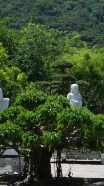 Danang Vilayeti, Vietnam için Guan Yin heykelinin tapınağının bayan Buda Danang Detayları. Vietnam 'daki Danang şehrindeki Linh Ung Pagoda' da Buda Heykeli. Yüksek kalite