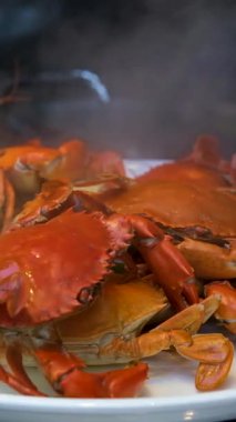 Baharatlı deniz ürünleri soslu haşlanmış mavi yengeç. Deniz ürünleri tarzı. Yüksek kaliteli FullHD görüntüler