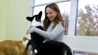 Yaşlı bir kadın, sarı bir yatakta Chihuahua köpeğiyle rahat bir yatak odasında meditasyon yapıyor. Yoga ve Corgi Yavruları rahatlama, insanlar yoga, kadınlar köpekleri okşama, egzersiz yapma, esneme hareketleri.