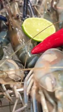 Deniz ürünleri pazarında taze çiğ karides tepsisi taze çiğ karidesleri deniz ürünleri pazarındaki buzda sergileniyor taze karidesler tazeliğe, pişirmeye ya da satışa hazır hale getiriliyor. Yüksek kalite 4k görüntü