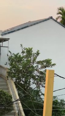 Pencere kenarındaki palmiye ağaçlarından akşamüstü evi Vietnam 'da sıradan bir yaşam için çit görevi görüyor. Yüksek kalite 4k görüntü