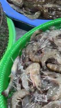 Metal Bowls Sokağı 'ndaki Taze Çiğ Karides Gıda Pazarı Üst Manzarası Yakından. Yüksek kalite 4k görüntü