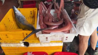 Şehirdeki pazar yerinde Asya balıkları gerçek zamanlı da nang vietnam 07.17.2025