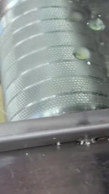 Eko şeker kamışı suyu yap. Kırsal kesimdeki adam tatlı rom içeceği üretiyor. Sokak satıcısı çiğ kamış lifini doğradı. Yerel üretici şeker özü satıyor. Öğütücü değirmeni şeker kamışı lifini ezer. Çiftlik fabrikası üretimi. El işi..