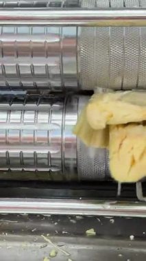 Eko şeker kamışı suyu yap. Kırsal kesimdeki adam tatlı rom içeceği üretiyor. Sokak satıcısı çiğ kamış lifini doğradı. Yerel üretici şeker özü satıyor. Öğütücü değirmeni şeker kamışı lifini ezer. Çiftlik fabrikası üretimi. El işi..