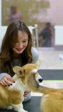 Yaşlı bir kadın, sarı bir yatakta Chihuahua köpeğiyle rahat bir yatak odasında meditasyon yapıyor. Yoga ve Corgi Yavruları rahatlama, insanlar yoga, kadınlar köpekleri okşama, egzersiz yapma, esneme hareketleri.