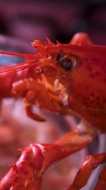 Buğulanmış karidesler Bangkok, Tayland 'daki sokak yemekleri pazarında Tom Yum Goong çorbası için hazırlandı. Yüksek kalite 4k görüntü