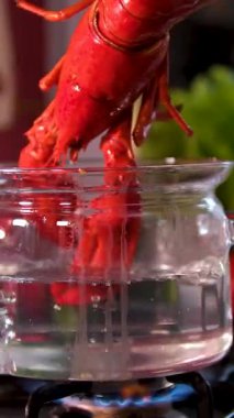 Istakoz ocakta pişiyor. Yüksek kalite 4k görüntü