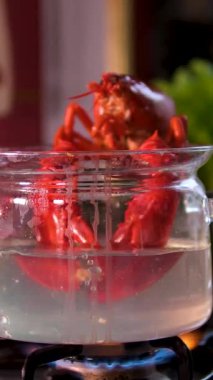 Istakoz sobada pişiyor. Yüksek kalite 4k görüntü