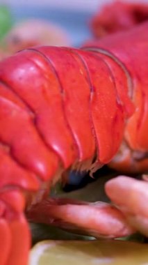 Perulu bir şef tarafından hazırlanmış farklı deniz ürünleri. Istakoz, karides, ceviche ve sebzeleri içeriyor. Yüksek kalite 4k görüntü