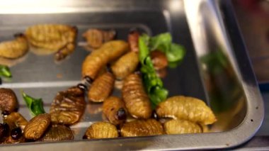 Asya 'daki bir markette metal tepsilerde servis edilen ipek kurdu pupaları ve cırcır böcekleri de dahil olmak üzere çeşitli yenilebilir böcekler. Bir el servis etmek için kızarmış larvaları otlarla kepçeler. Yüksek kalite 4k görüntü