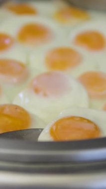 Büfede çırpılmış yumurta tepsisi. Yüksek kalite 4k görüntü