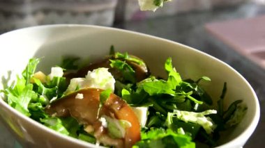 Salata kasesi somon, avokado, brokoli, zeytin ve taze Romaine marulu. Poke bowl salatası, stok video 4K. Yüksek kalite 4k görüntü