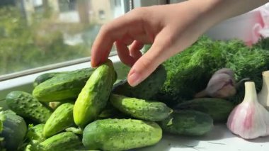 Genç bir kadının elleri süpermarkette salatalık topluyor. Market alışverişi süreci. Yüksek kalite 4k görüntü