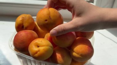 Beyaz arka planda elinde bir taş olan iki kayısı. Yüksek kalite 4k görüntü