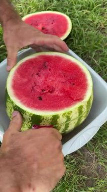 Yarım karpuz. Bahçedeki karpuz iki parçaya ayrılır. Yaz bahçesindeki erkek ellerinde karpuz güneş ışınlarında. Erkek eller karpuzu iki parçaya böler..