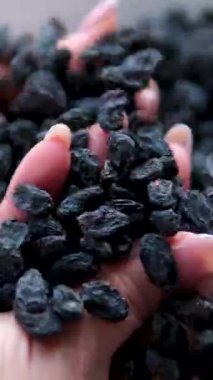 Kuru üzümler yavaşça ahşap kasede dönüyor. Kurutulmuş üzümler yakından. Kurutulmuş meyve ve kuru böğürtlen. Koyu siyah kuru üzümler elle incelenir.