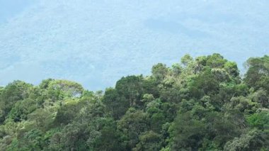 Da Nang, Vietnam Altın Köprüsü Elle Köprü ve DaNang Vietnam 'daki Ba Na Hills Güneş Dünyası' ndaki dağ manzaralı gözlemevi. Yüksek kalite fotoğraf