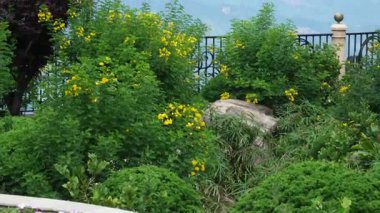 Da Nang, Vietnam Altın Köprüsü Elle Köprü ve DaNang Vietnam 'daki Ba Na Hills Güneş Dünyası' ndaki dağ manzaralı gözlemevi. Yüksek kalite fotoğraf