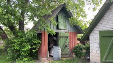 Kırsalda bir evin yanındaki eski ahşap kulübe. Eski terk edilmiş ve harap olmuş ahşap kulübe çiftlikteki ağaç dallarının altında. Yüksek kalite 4k görüntü