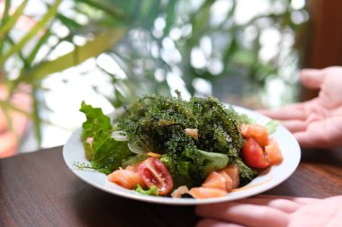 Caulerpa. Restoranda bir tabak Asya salatası lezzetli sunum lüks lezzet taze yeşil deniz üzümü ahşap üzerinde