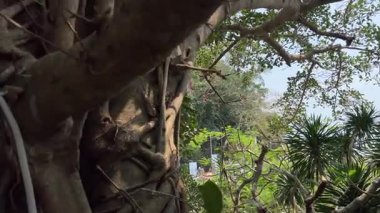 Vietnam Danang Mermer Dağları Mermer Dağlar 'daki Am Phu Mağarası' ndaki kutsal tapınağın içi. Vietnam Danang 08.09.2025