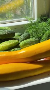 İçinde salatalık ve kabak dolu bir lavabo. Sarı kabak salatalığı.