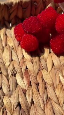 Tibet ahududu Justina böğürtlenli böğürtlenli böğürtlen. Yeşil yapraklı ve meyveli kırmızı egzotik sağlıklı Tibet ahududu. Yüksek kalite 4k görüntü