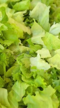 Su Damlacıklarıyla Taze Yeşil Marul Yaprakları. Yüksek kalite 4k görüntü