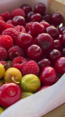 Böğürtlenli sepetler, kargo ve ahududu pencere eşiğinde taze toplanmış meyveler. Yüksek kalite 4k görüntü