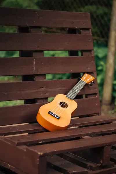Tahtada akustik ukulele